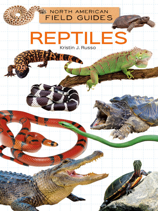 Title details for Reptiles by Kristin J. Russo - Available